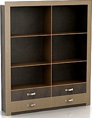 Bookcase 3D Model