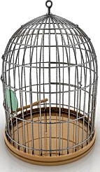 Cage 3D Model