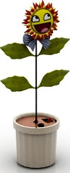 Flower 3D Model