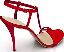 Shoe 3D Model