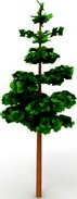 Tree 3D Model