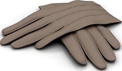 Gloves 3D Model