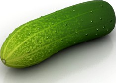 Cucumber 3D Model