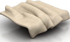 Veil 3D Model