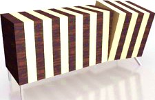 Case 3D Model