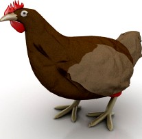 Hen 3D Model