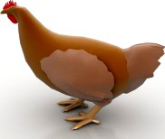 Hen 3D Model