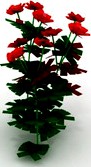 Roses 3D Model