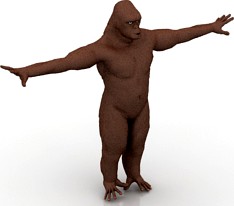 Gorilla 3D Model