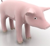 Pig 3D Model