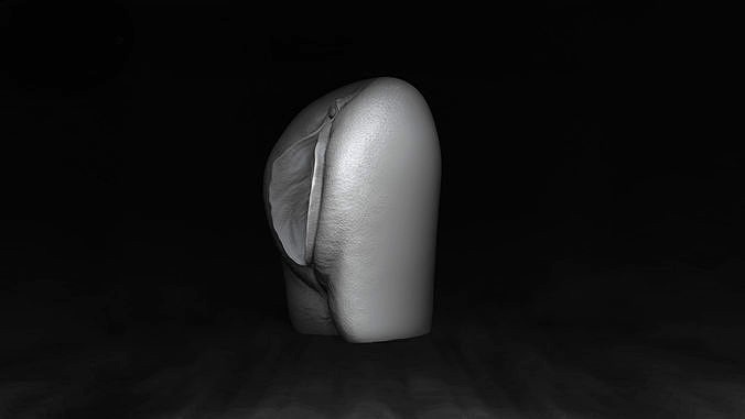 Anatomy of the Vagina | 3D