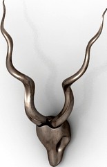 Antlers 3D Model