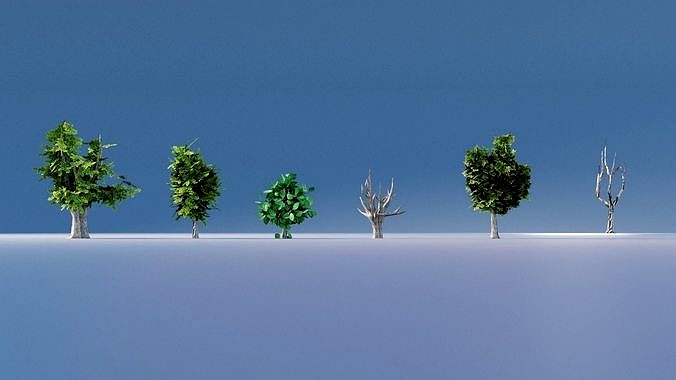 Oak Trees