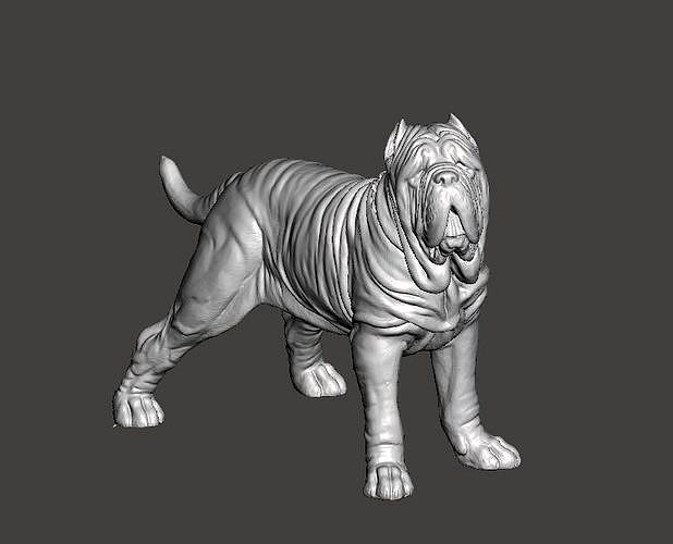 Neapolitan Mastiff Dog - Mastino | 3D