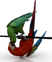 Bird 3D Model