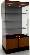 Case 3D Model