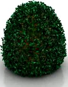 Bush 3D Model