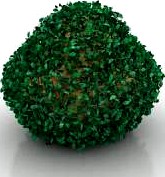 Bush 3D Model