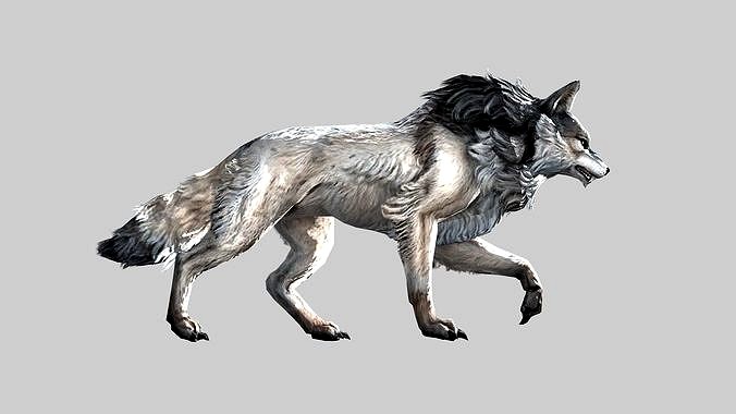 Wolf rigged and animated 3d model