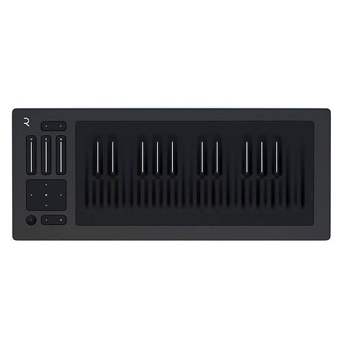 ROLI Seaboard Rise 25