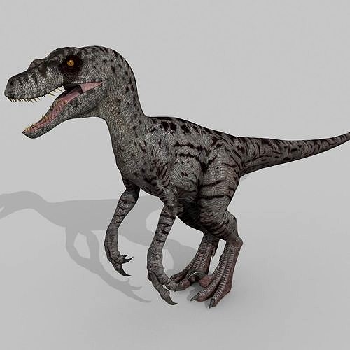 Female Alpha Raptor - 8K - Animated