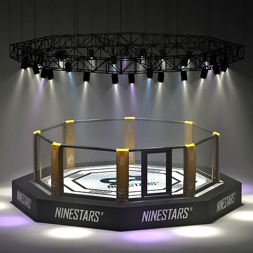 MMA arena octagon