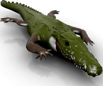 Alligator 3D Model