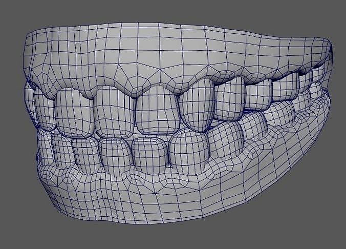 Teeth