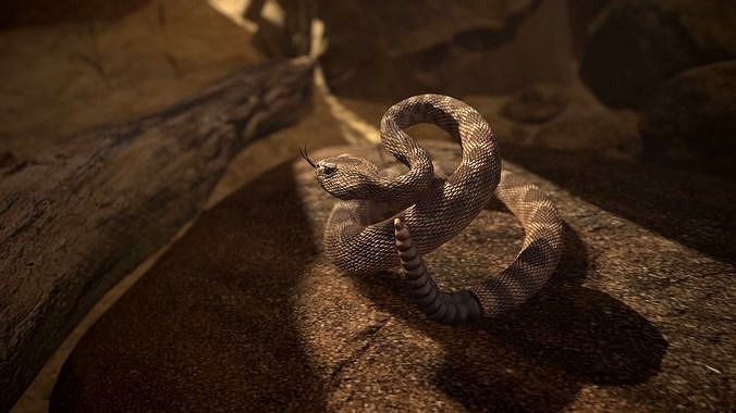 Rattlesnake