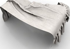 Veil 3D Model