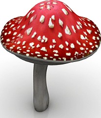 Fungus 3D Model