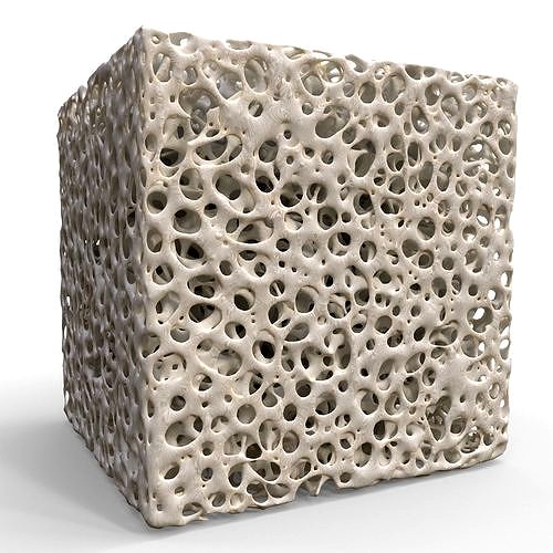 Bone Sponge Structure