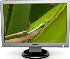 Monitor 3D Model