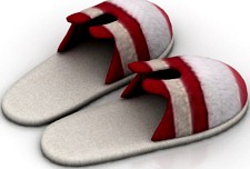 Slippers 3D Model