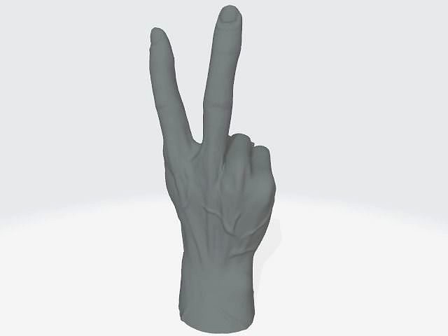 Hand Gesture | 3D