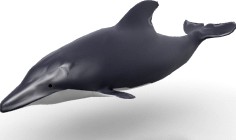 Dolphin 3D Model