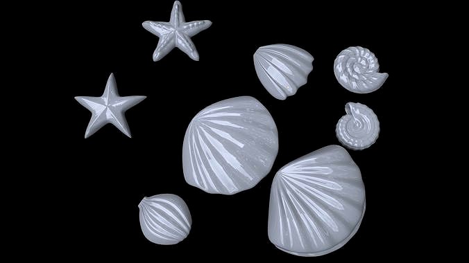 Seashells