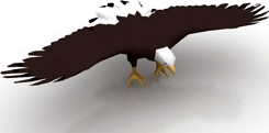 Eagle 3D Model
