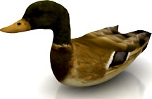 Duck 3D Model