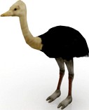 Ostrich 3D Model