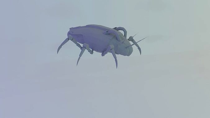 Cockroach | 3D