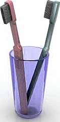 Toothbrush 3D Model