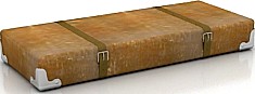 Case 3D Model