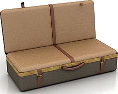 Case 3D Model