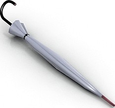 Umbrella 3D Model
