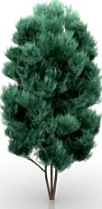 Tree 3D Model