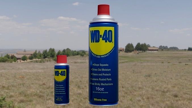 WD 40 16oz and 100ml