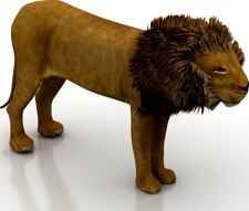 Lion 3D Model
