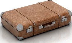 Bag 3D Model