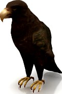 Eagle 3D Model